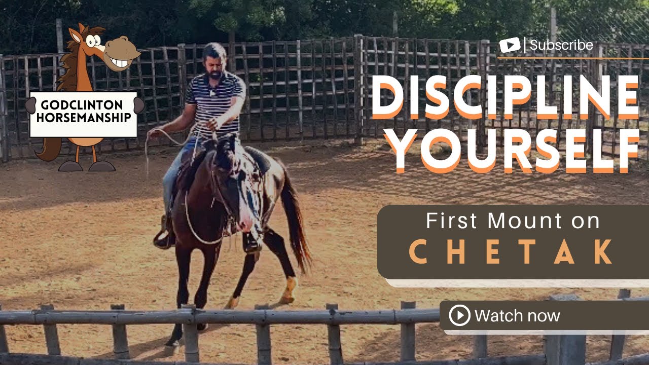 Chetak Day-3 | colt starting | first ride on Chetak