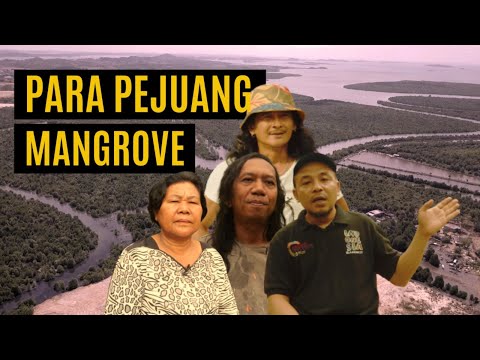Para Pejuang Mangrove Melawan Kerusakan dan Perubahan Iklim