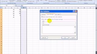 Microsoft Excel 2007 Tutorial  How to Use Data Validation