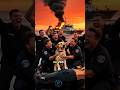 Le chien qui sauve un bateau de luxe juste avant l’explosion #chien #sauvetage #avion #animal #viral