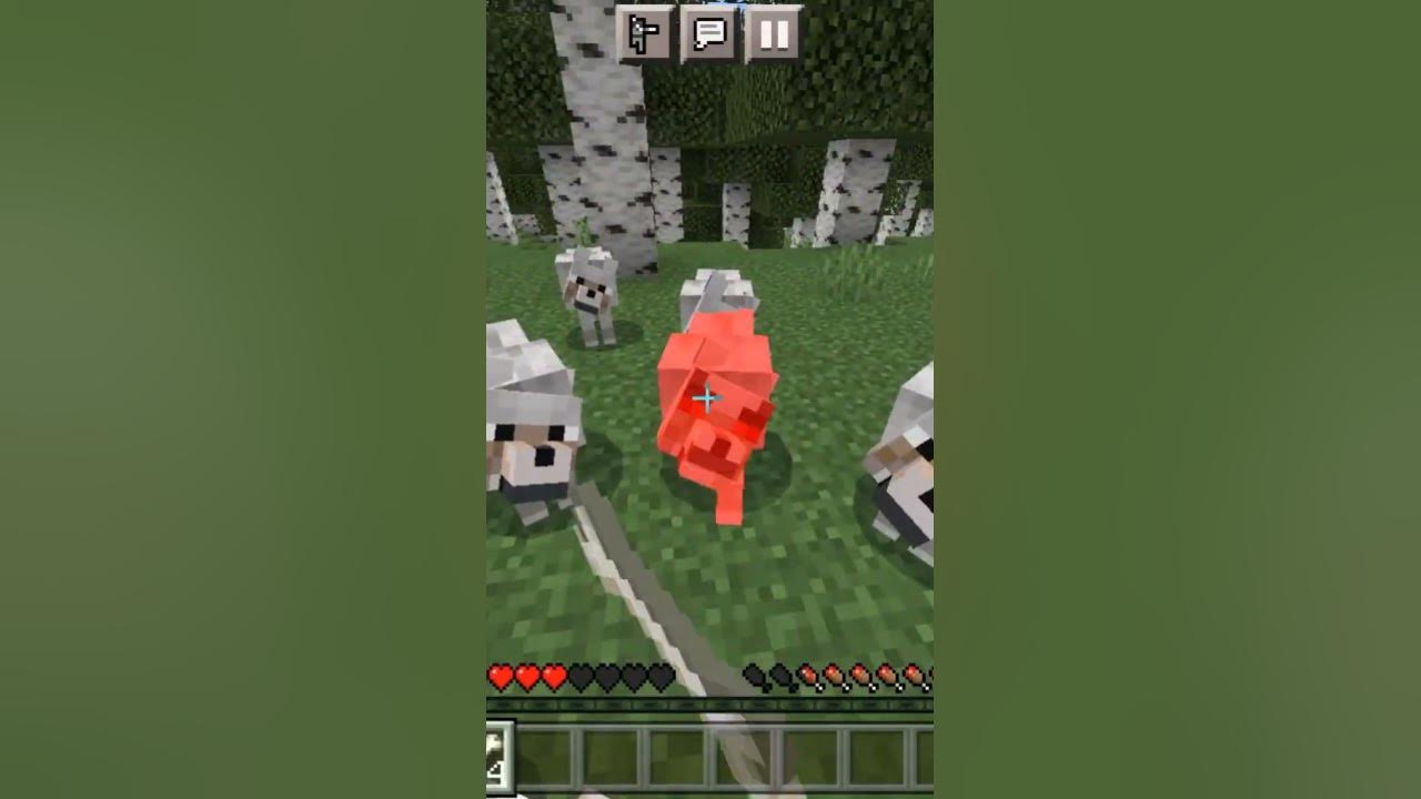 taming-a-dog-in-minecraft-gone-wrong-shorts-youtube