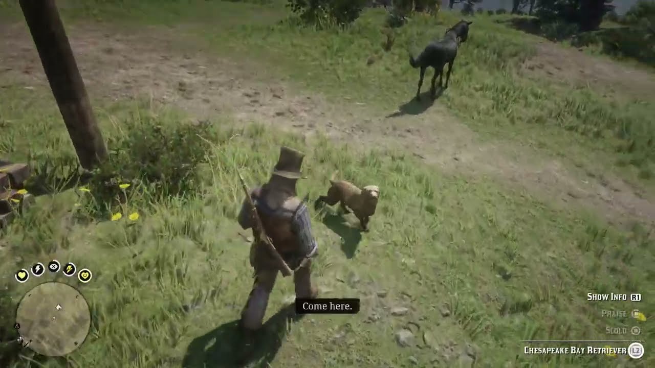 RDR2 Chesapeake Bay Retriever Location | พิกัดสุนัขเซซาพีค เบย์ รีทรีฟเวอร์