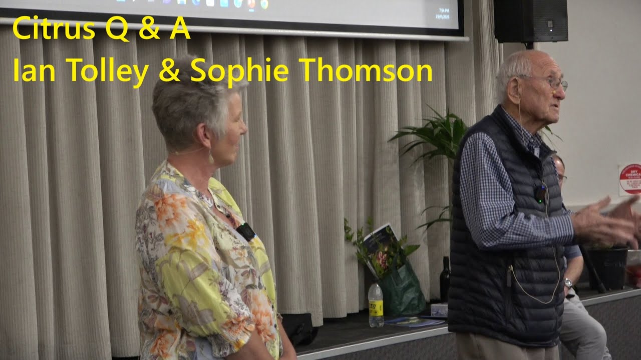 Вопросы и ответы Иэна Толли и Софи Томсон. Цитрусовые деревья, Аделаида, ноябрь 2025 г.