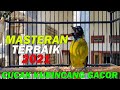 Ampuh Masteran Burung Kutilang Sutra Bikin Kutilang Sutra Bahan Langsung Respon Bunyi Gacor Mp3 - Mp4 Download