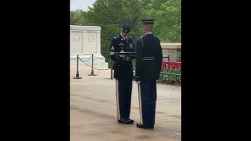 Military Inspection l Shorts