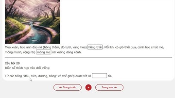 Trạng nguyên Tiếng Việt lớp 4 vòng 4 năm học 2025 - 2026