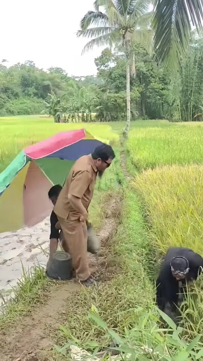 Tunggu tunggu video lucu 20 November 2025 #komedi #lucu #timelapse #youtubeshorts