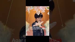 Agar San bilan Sakura gullaganda ko'risholmasak. Albatta anjir gullaganda ko'rishamiz #amirjon #edit