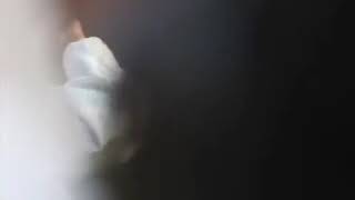 Dubai International Hotel. Inside Dubai Airport.