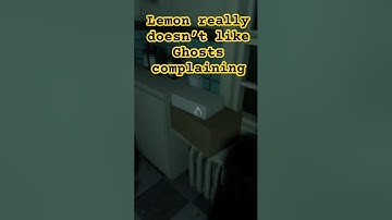 Lemon can be the most Offensive Mortuary Assistant