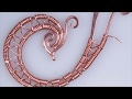 Wire wrap Bird earrings TUTORIAL. Rooster Zodiac