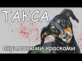 Рисуем акрилом таксу - Нow to paint a dachshund with acrylics - Andrew Pugach