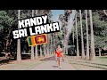 A DAY in Kandy | Staying With SRI LANKAN Millionaires in the MOUNTAINS!