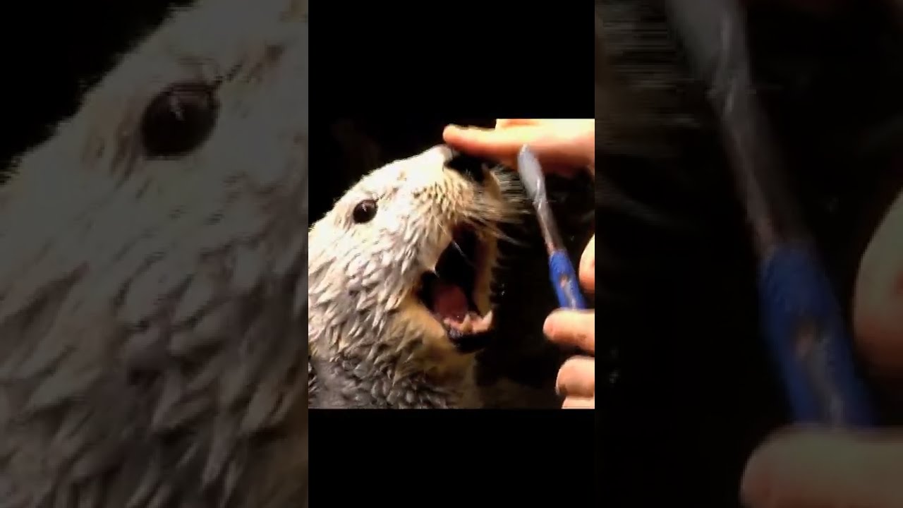 Let's clean the body together 