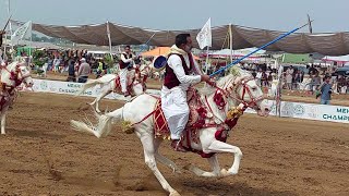 HORSE TENT PEGING. نیزہ بازی  گھوڑ سواری