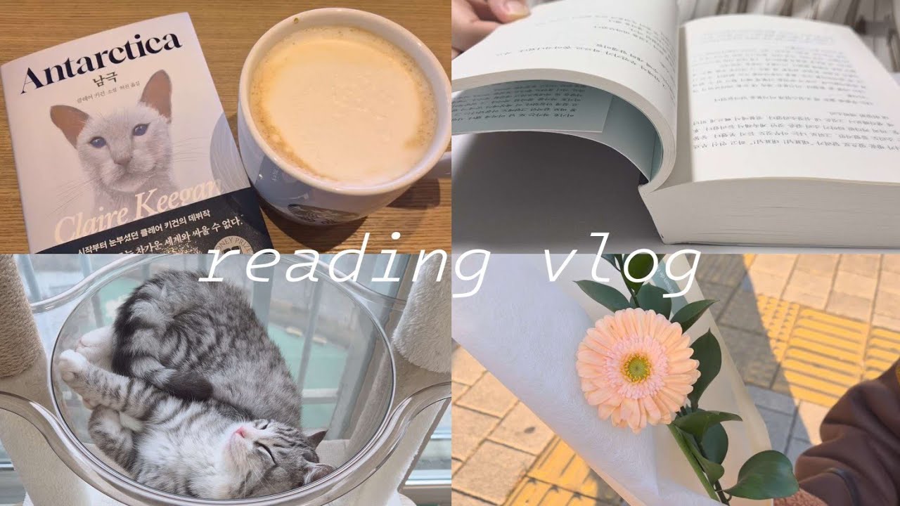 독서 브이로그ㅣ일상 브이로그ㅣ명랑한 이시봉의 짧고 투쟁 없는 삶ㅣ이기호ㅣ반려동물에 대해 다시 한 번 생각해 보게 되는 책😺🐶📚ㅣ난 왜 이렇게 단편소설이 어려운가...😭