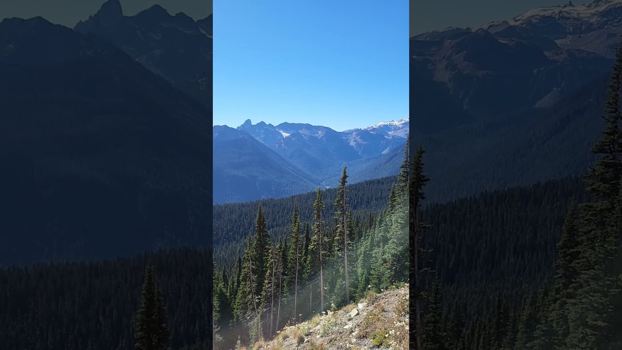 Beautiful windy day at Sunrise Point Lookout, Mt Rainier, WA