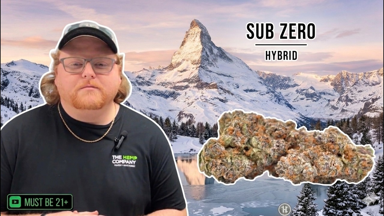 Sub Zero Strain Review: Get Ready to Freeze Out Stress
