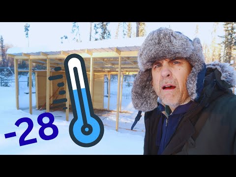 Cold aviary no birds