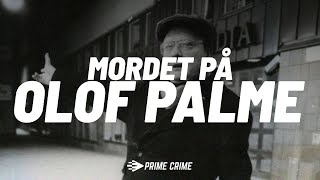 Mordet på Olof Palme - Stig Engström (Skandiamannen), Vittne