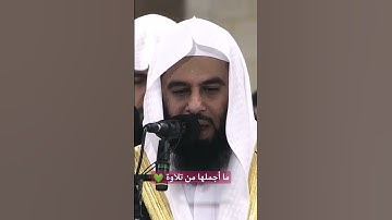 #تلاوة_رائعة #تلاوة_خاشعة #تلاوة_هادئة #تجويد #أنس_العمادي #العمادي #البحرين #الجزائر #السعودية #مصر