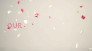 Sunsilk PH 2016-2017 Historical Reel