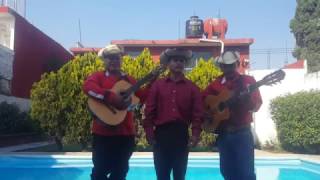 Corrido Del Coplero - El Compita Y Los Toros Sierreños