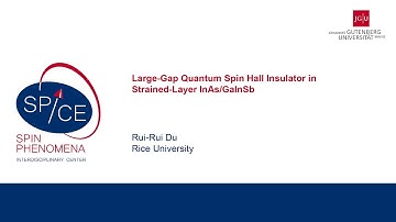 Talks - Spin Dynamics in the Dirac Systems - Rui-Rui Du, Rice University