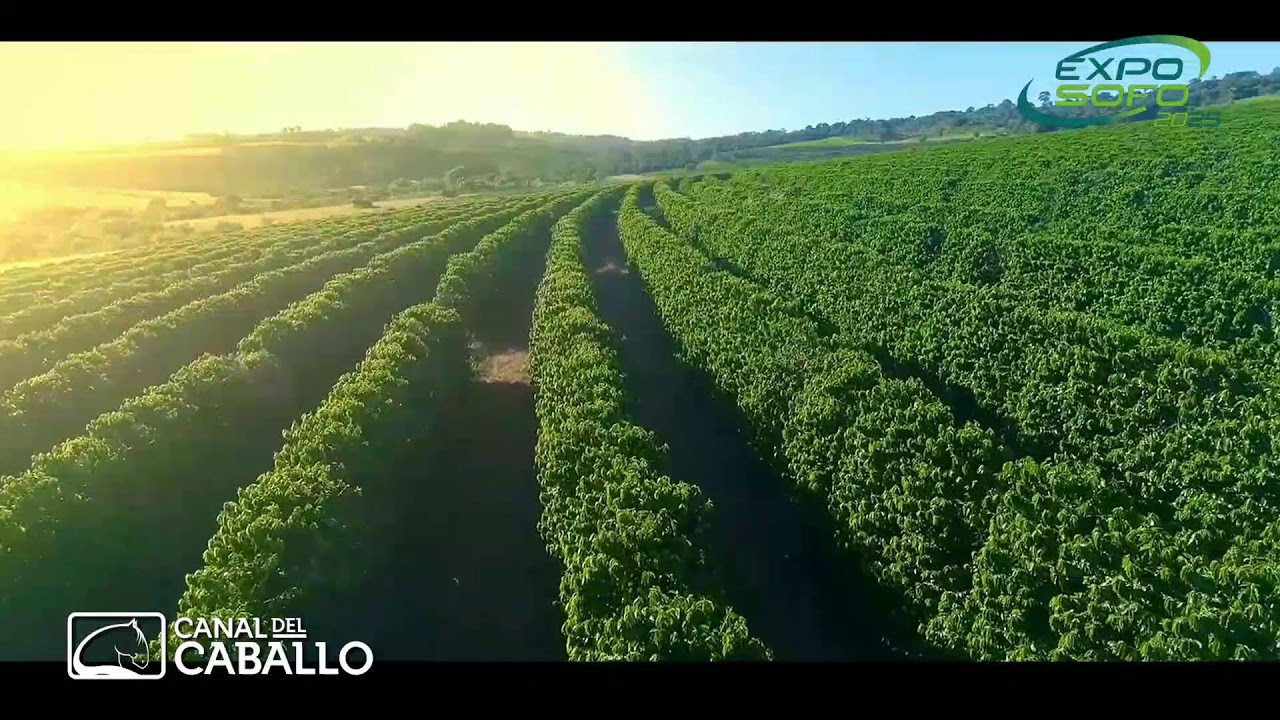 Expo Sofo grandes premios