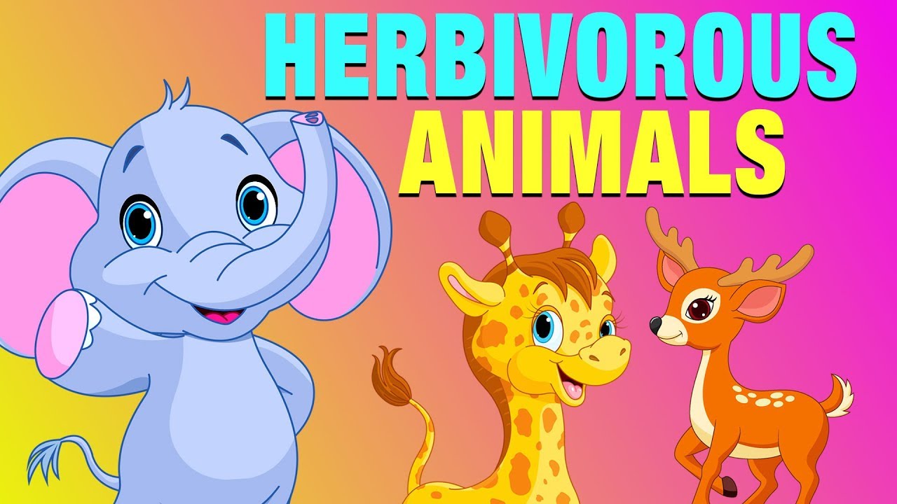 carnivorous animals pictures with names