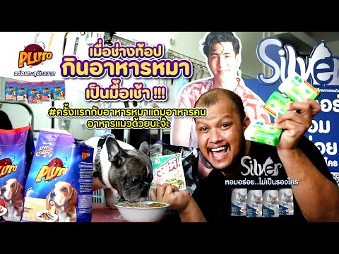 ช่างท้อป - เมื่อช่างท้อปกินอาหารหมาเป็นมื้อเช้า