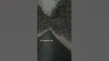 Reel 85 of 100 | Not Rejected, But Redirected