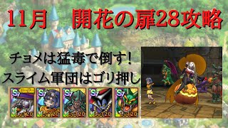 【ドラクエタクト】１１月　開花の扉２８攻略　チョメは毒で倒し、スライム軍団はゴリ押し【無課金勢】