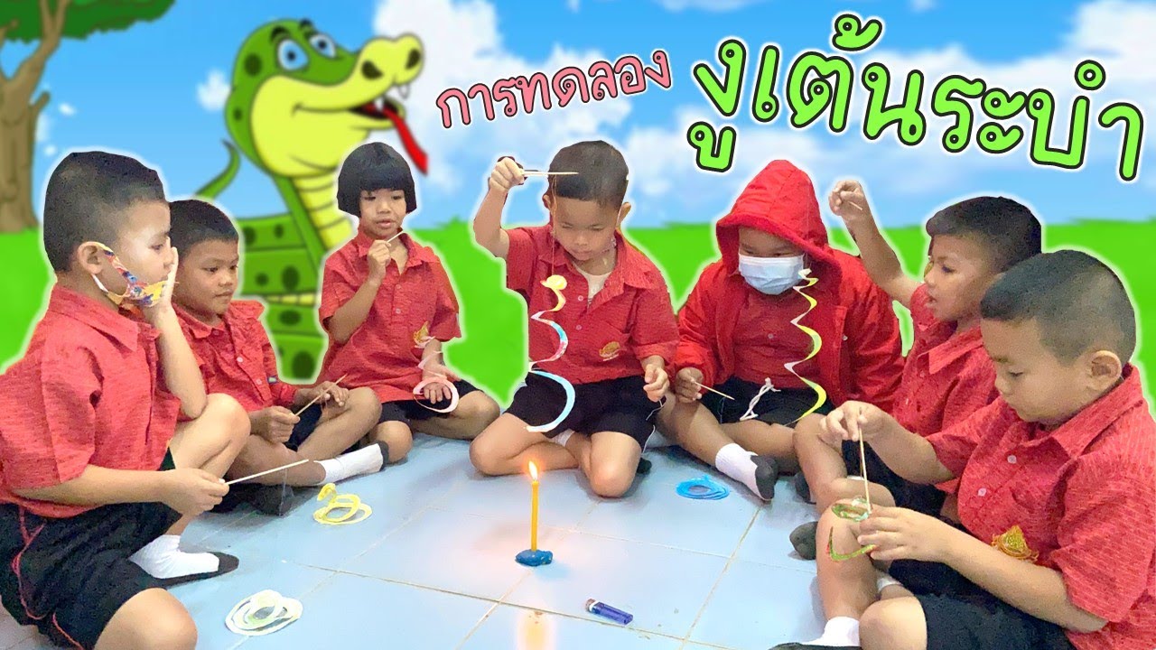 กิจกรรมการทดลองวิทยาศาสตร์ 