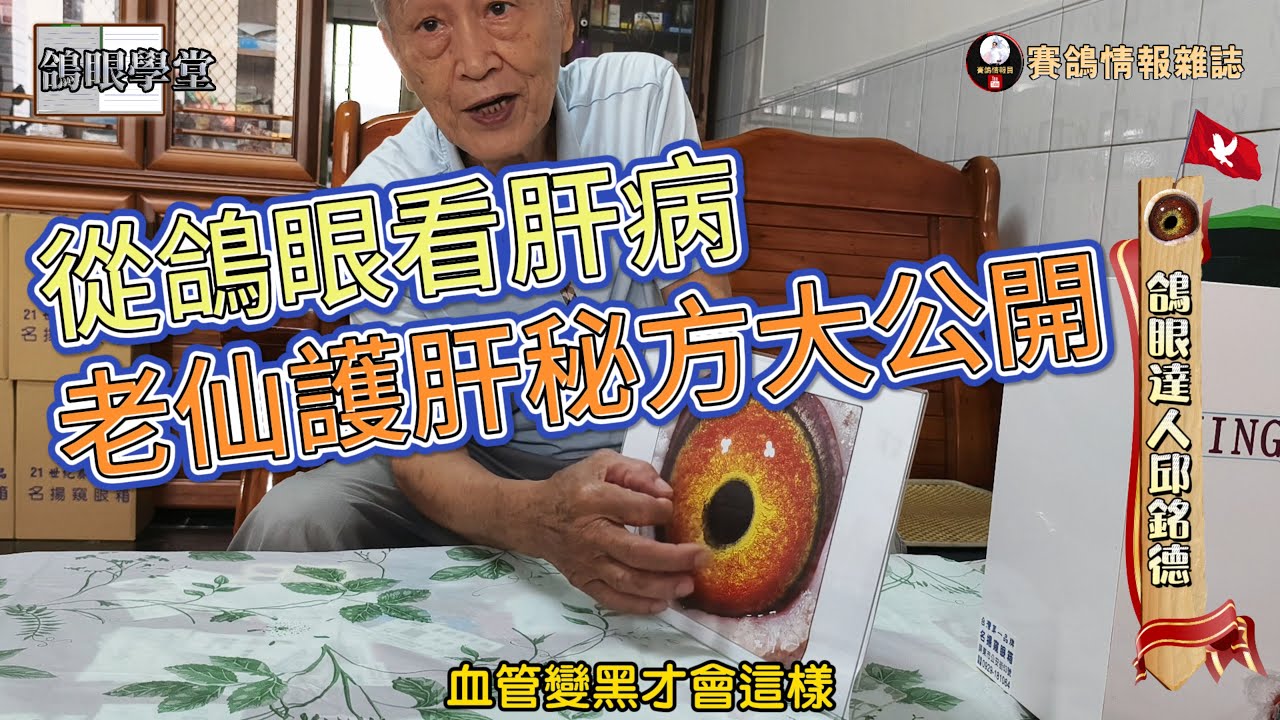 從鴿眼看肝病！老仙護肝秘方大公開 #邱銘德 #鴿眼學堂  #鴿壇名人 #眼誌 #強豪 #鴿刊 #種鴿 #海翔 #pigeon #鴿子 #育種 #養鴿 #粉鳥 #窺眼箱 #銘鴿 #五洲賽鴿