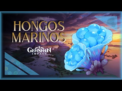 Cómo conseguir 160 Hongos Marinos | Ruta de FARMEO - Genshin Impact