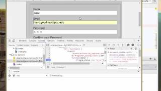 295P RegisterDatabase