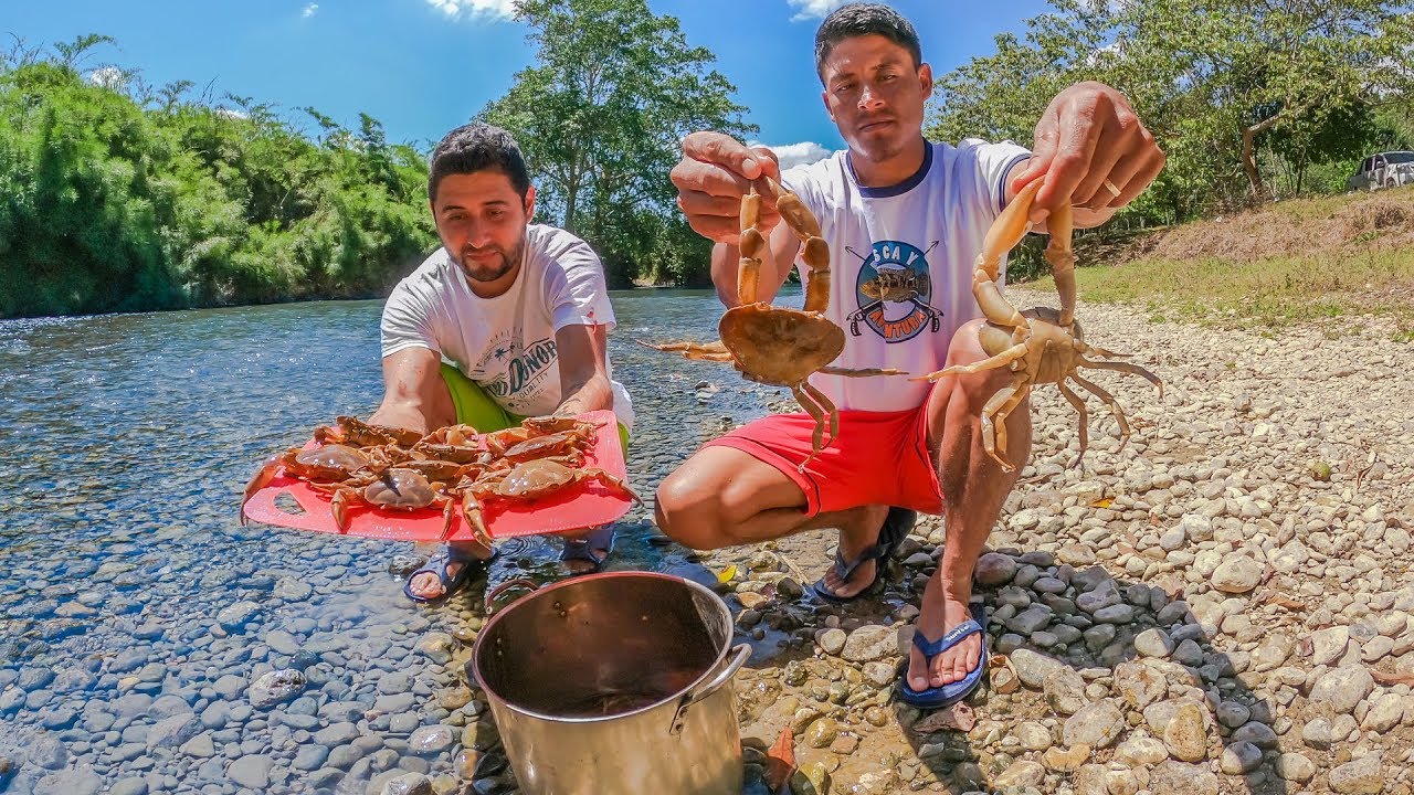 Así Pescamos y Cocinamos Cangrejos de Río Con Carnada de Res