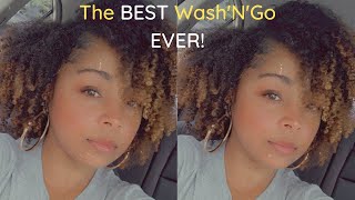 I AM SHOOK! | Wash'N'Go using Taliah Waajid Curly Curl Cream + The 'NEW' WetLine Xtreme Gel!