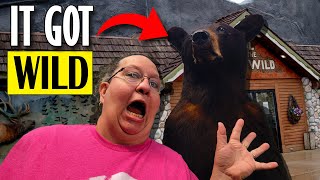 Call of the Wild Wildlife Museum in Gaylord Michigan
