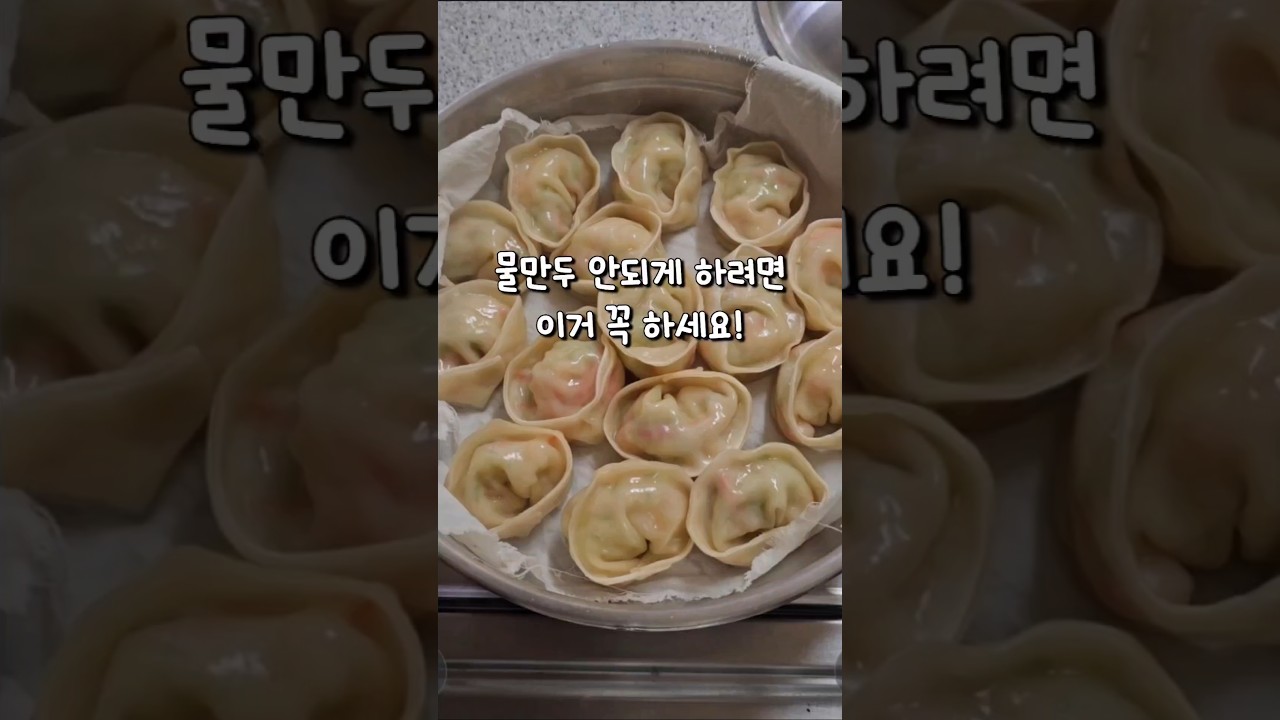 오동통 애호박 새우만두