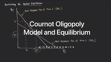 Cournot Oligopoly Model and Equilibrium