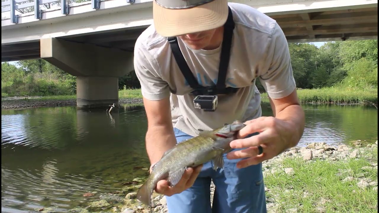 Bass Fishing an EXTREMELY Low Creek