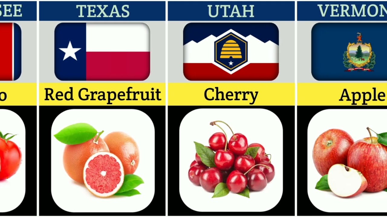 🍎 USA 50 States Favorite Fruits | Most Loved Fruit in Every State 2025 🍓🍉