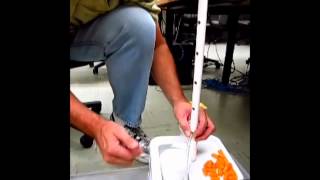 Motor Pump Mechanical Measurements