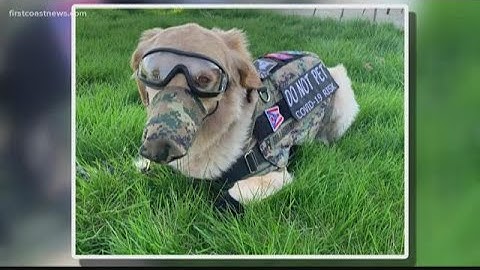 Are you wearing a mask out in public?