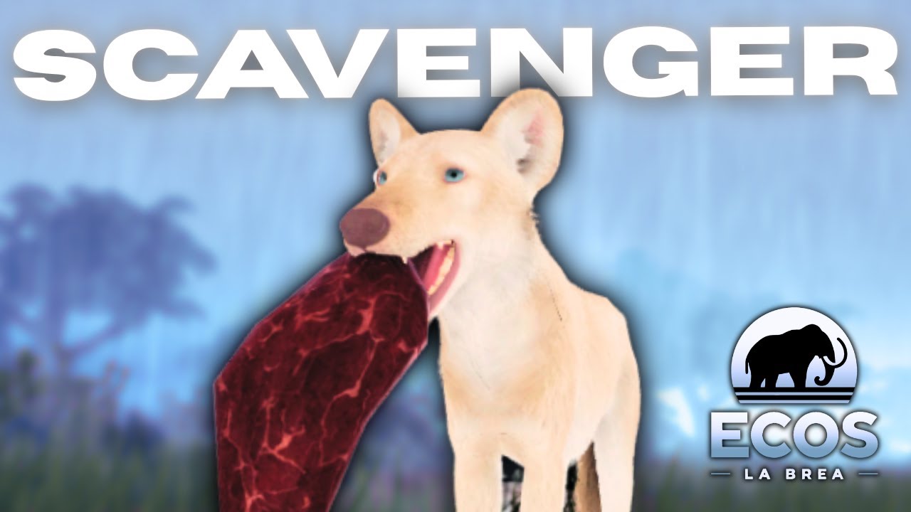 ВЫЗОВ МУСОРИТЕЛЯ | ЭКОС ЛА БРЕА