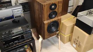 : SONY G55