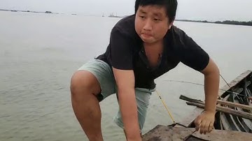 Câu cá sông Soài Rạp