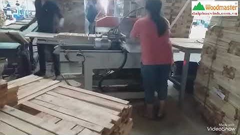 WOODMASTER -MÁY CẮT PHÔI TỰ ĐỘNG WM-500X